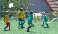 As one of the most important professional subcentres of the region, the Juniors Section of the Hvz Football Club received a key role from the Hungarian Football Federation.